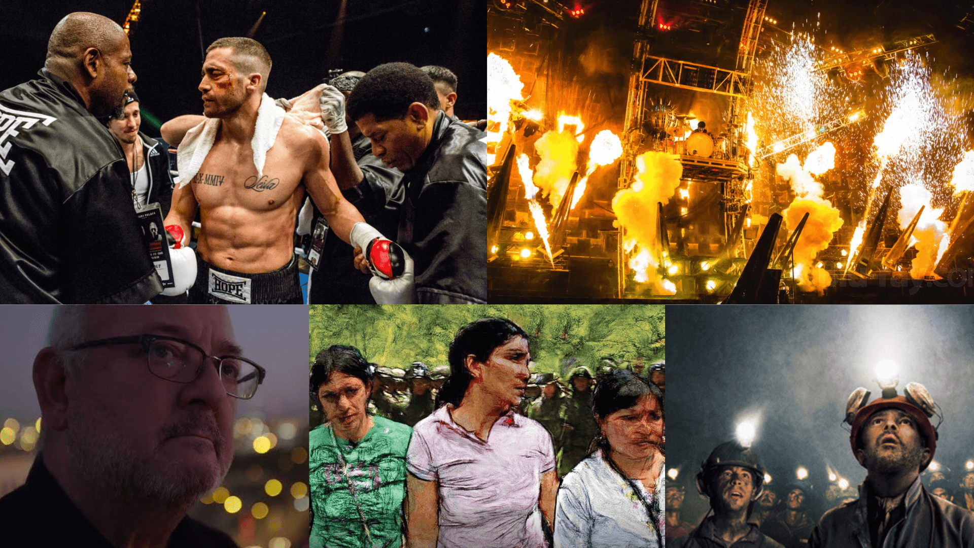 Past Projects & Clients